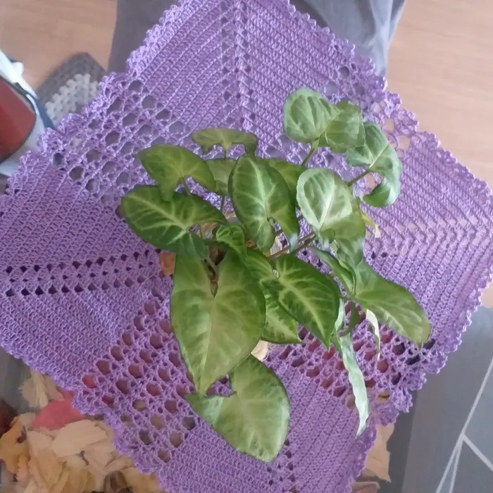 Peça em crochê 6